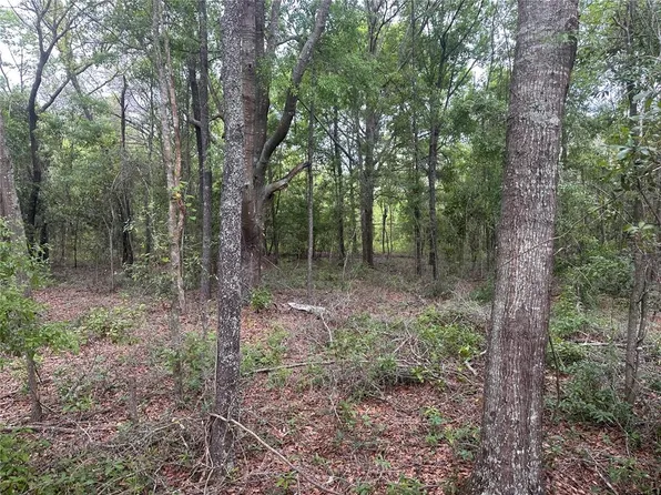 LOT Twenty, O'Brien, FL 32071