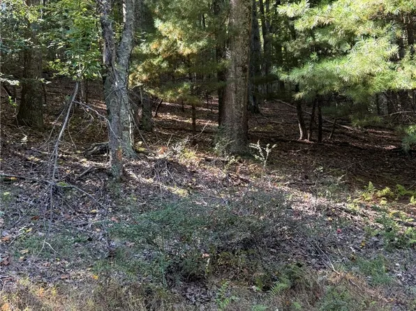 TBD Westwood Drive, Sparta, NC 28675
