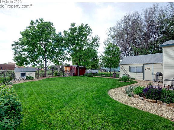 Lush Backyard