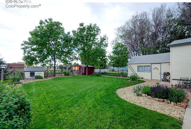 Lush Backyard