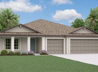 13505 Willow Bluestar Loop, Riverview, FL 33579