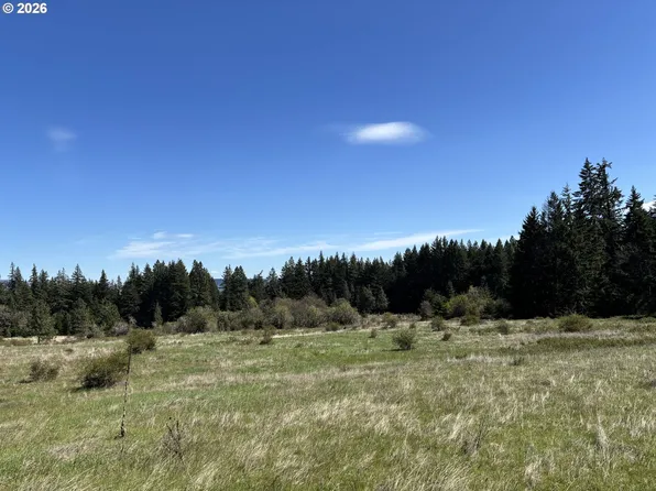 Cooke Rd, White Salmon, WA 98672