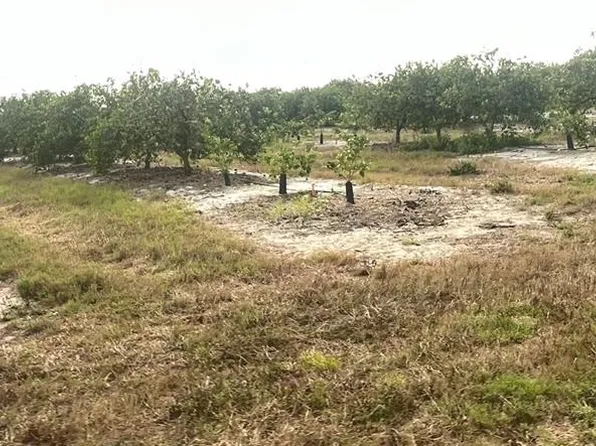 NE HWY 70 0, ARCADIA, FL 34266