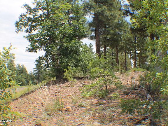 5th image of 7031 Leo Ln