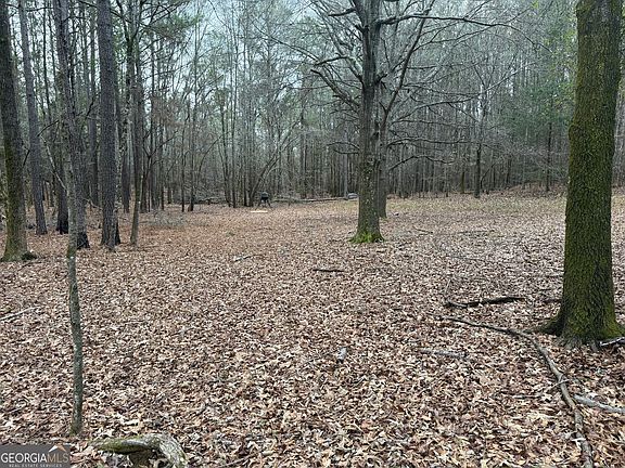 2nd image of 0 Bagwell Rd