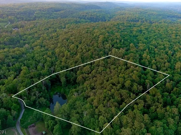 5 Meadow Cliff Ln, Hardwick Twp., NJ 07825