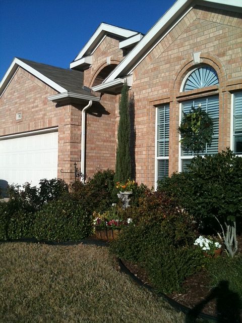 front of house