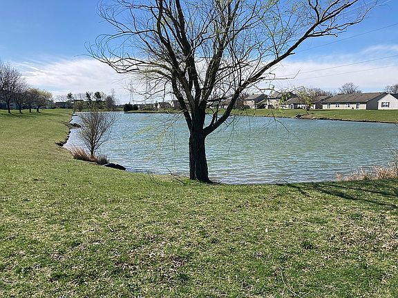 Pond
