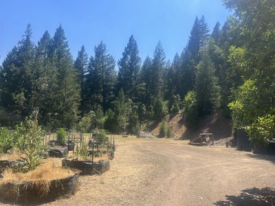 595 Hillside Rd, Douglas City, CA, 96024