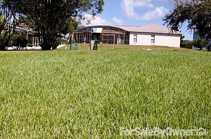 Back yard with Huge Screened Patio
						:
						Back yard w/Fire Pit, Playground, and Endless Options in the Spectacular Patio.