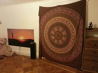 Rented by Elite NY Holdings