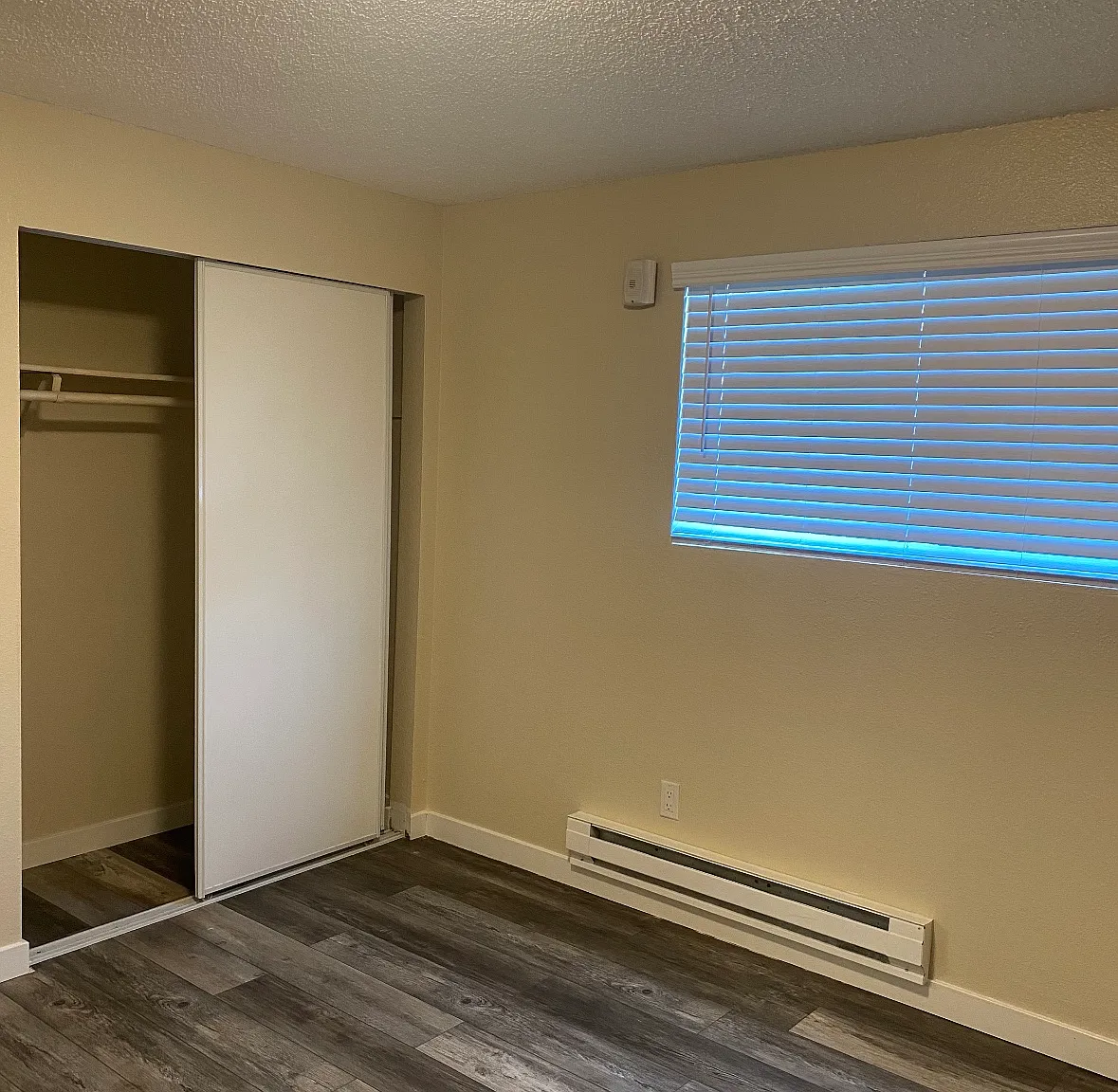 1 bed, 700 sqft, $1,650 — Photo 3