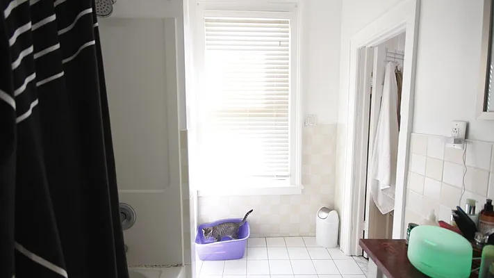 Rented by Nooklyn NYC LLC | media 4