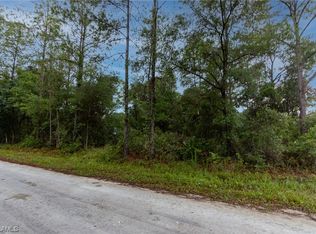 35360 Goethals St, Webster, FL 33597