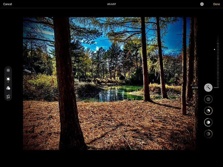 7S560 Donwood Dr E — Photo 17