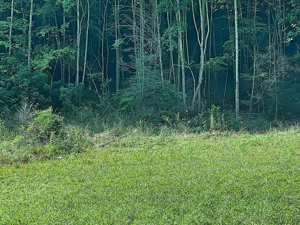 2nd image of Grady Estep Rd
