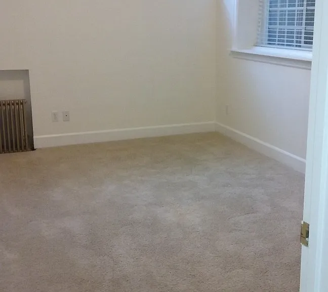 Littlefield Apartments — Photo 24