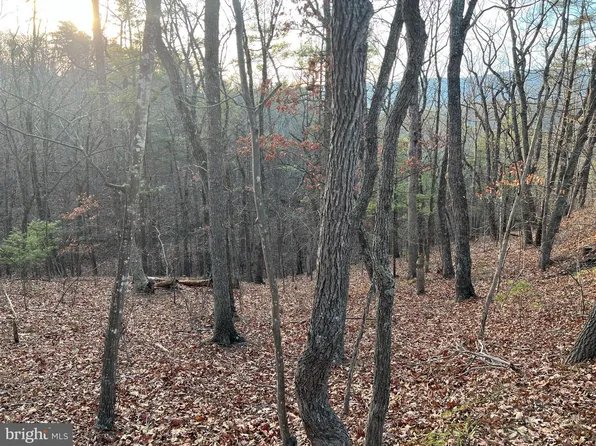 0 Straton Way, Basye, VA 22810