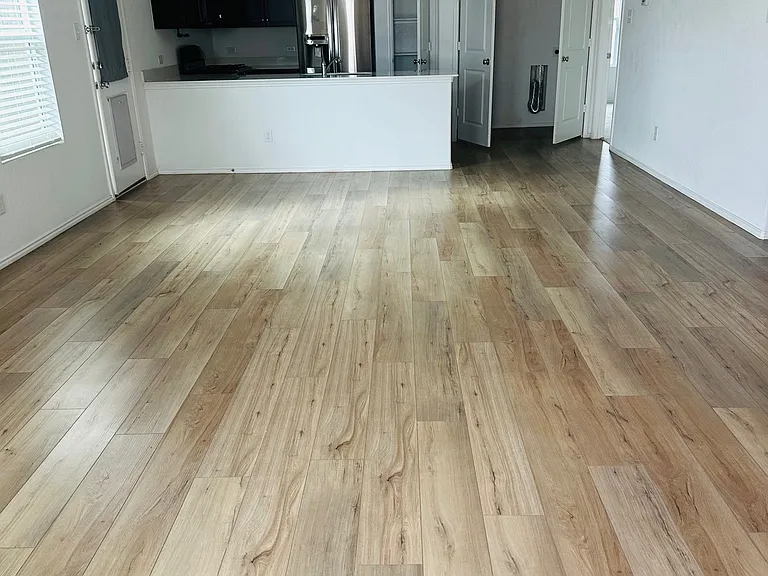Living/ Kitchen Area