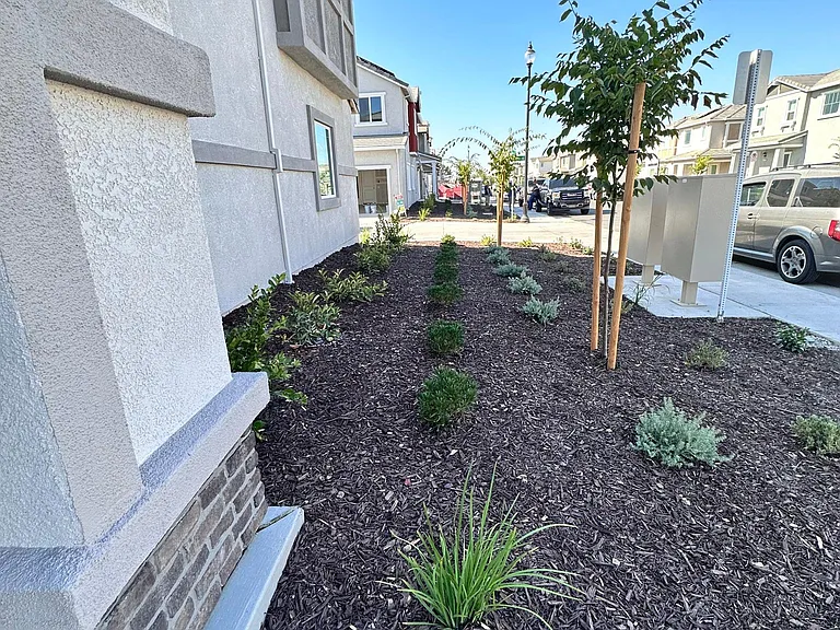Low maintenance front yard