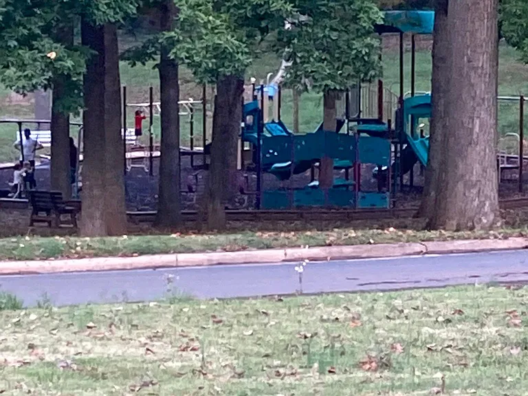 Across from Davis Park