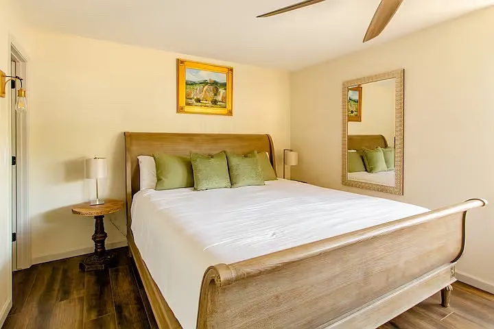 Primary bedroom with a walk-in closet, ceiling fan and ample lighting throughout