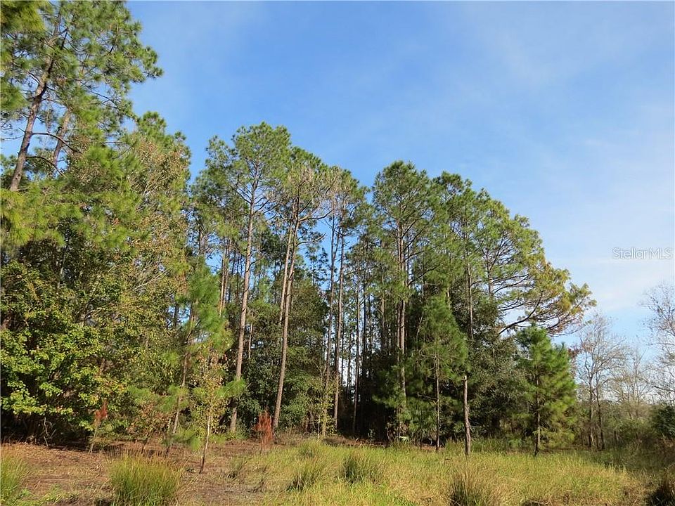 1st image of Alligator Bobs Pl
