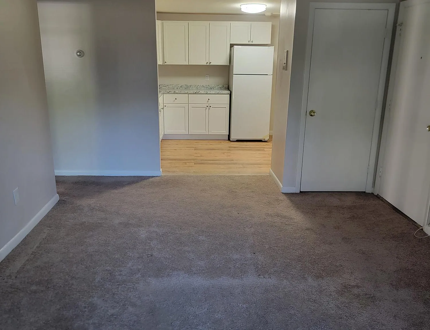 Pelham Street Apartments — Photo 4