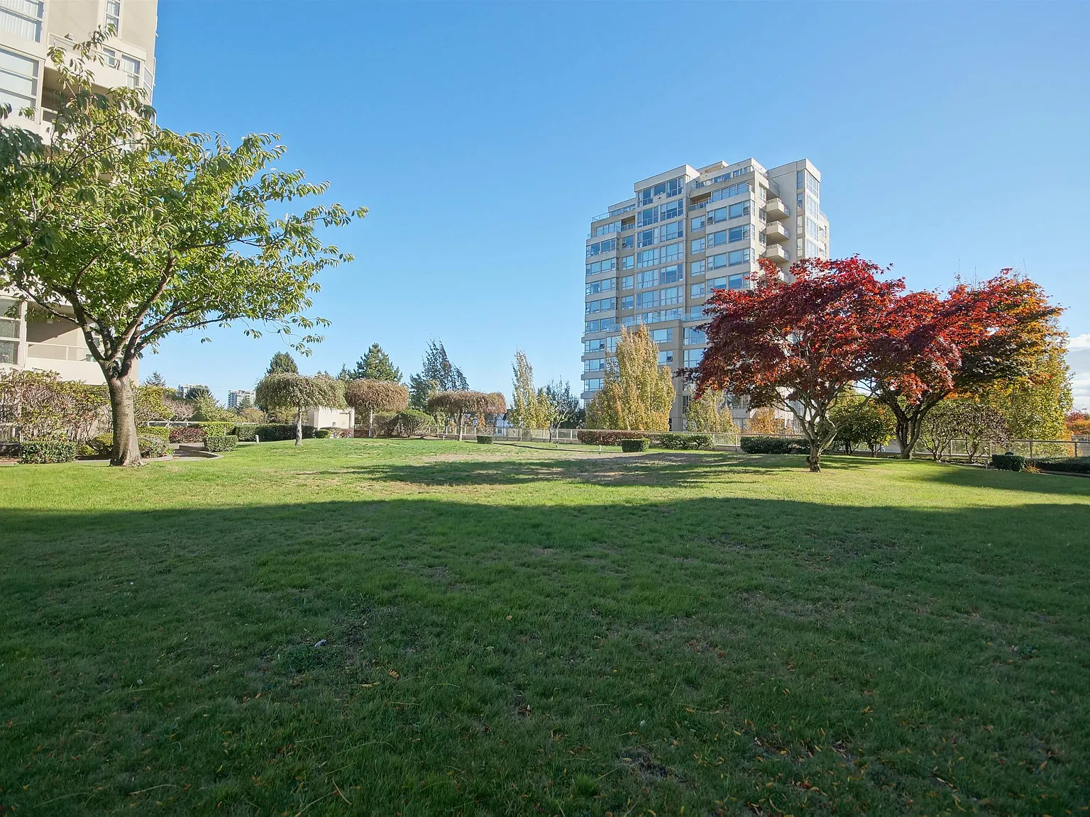 1 bed, 602 sqft, $1,950 — Photo 2