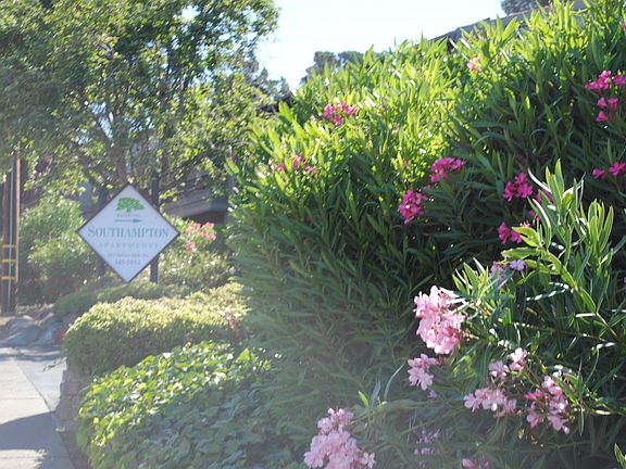 5th image of 50 Chelsea Hills Dr #1000