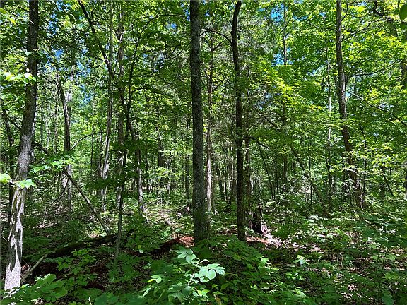 3rd image of Terrapin Rd