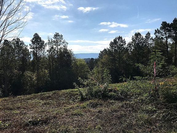3rd image of Hiwassee Trails Dr #8