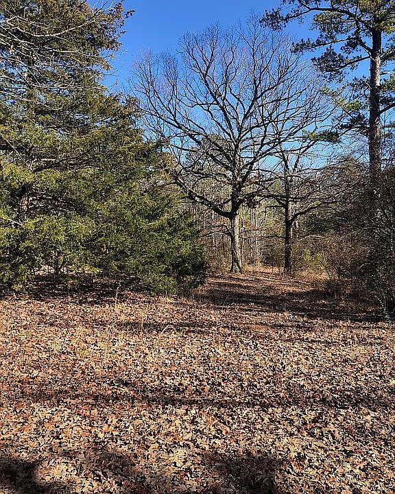 2nd image of 634 County Road 202