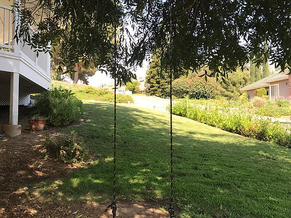 Beautiful pecan tree in the front yard.