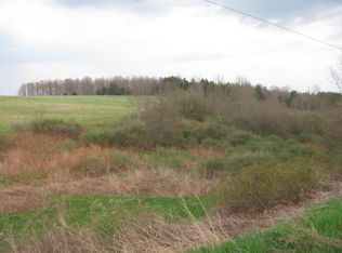 0 Zimmer Rd, Avoca, NY 14809