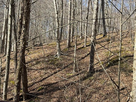 3rd image of 4 Gum Lick Rd