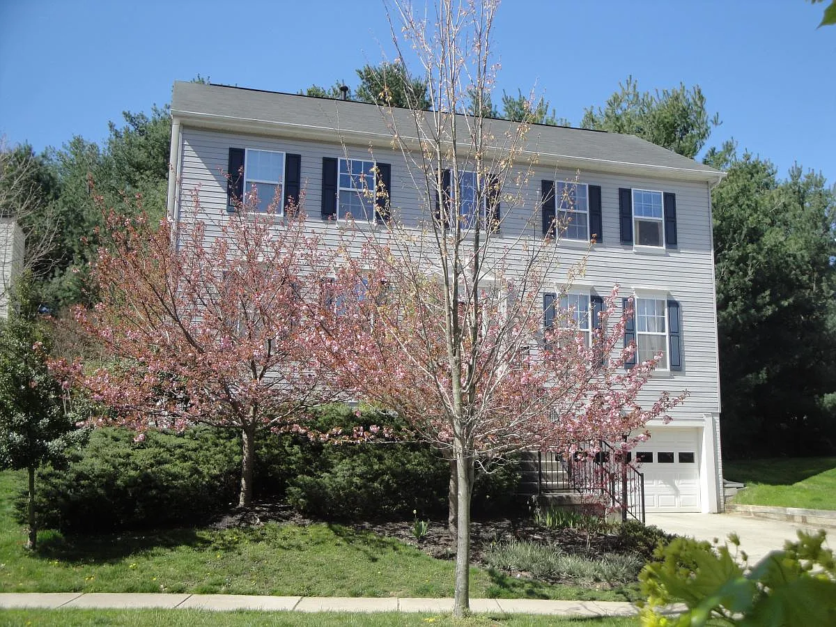 4 bed, 3.5 bath, 2464 sqft, $4,250 — Photo 1