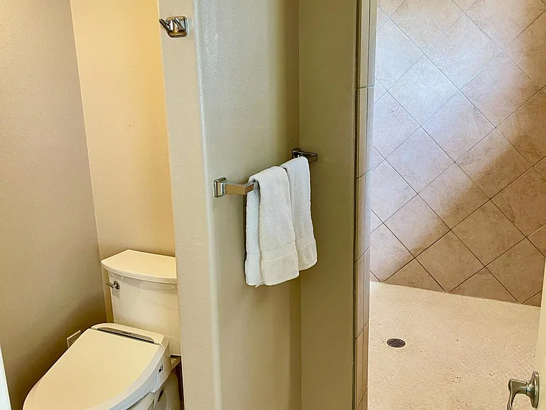 Walk-in shower with rain shower head and 2nd handheld showerhead