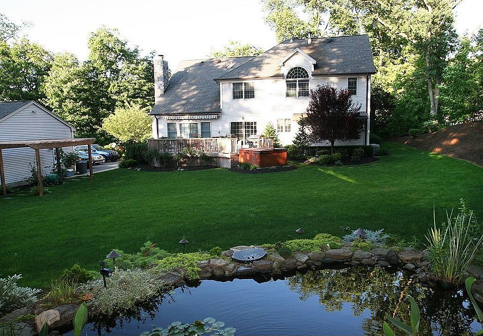 View from Pond