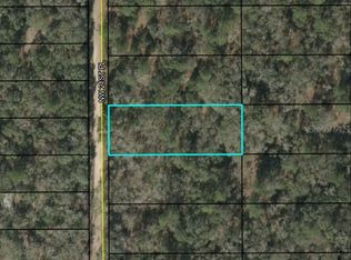 LOT 61, Jasper, FL 32052