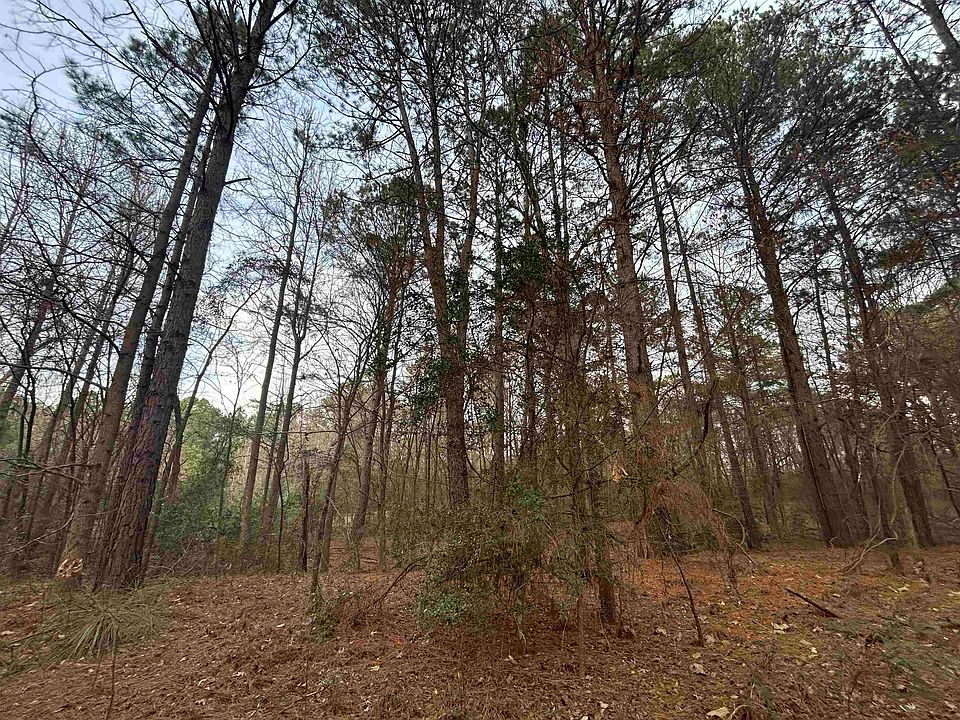 1st image of Catalpa Rd