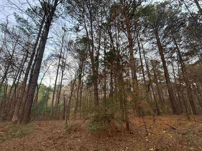 Catalpa Rd, Big Sandy, TX, 75755
