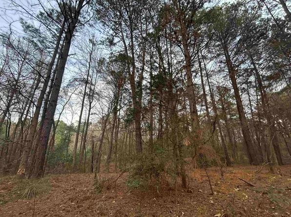 Catalpa Rd, Big Sandy, TX 75755