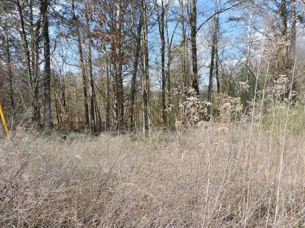 Off Hwy #28, Boles, AR 72926