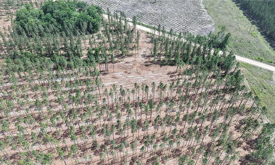 2nd image of 3000 Buck Swamp Rd
