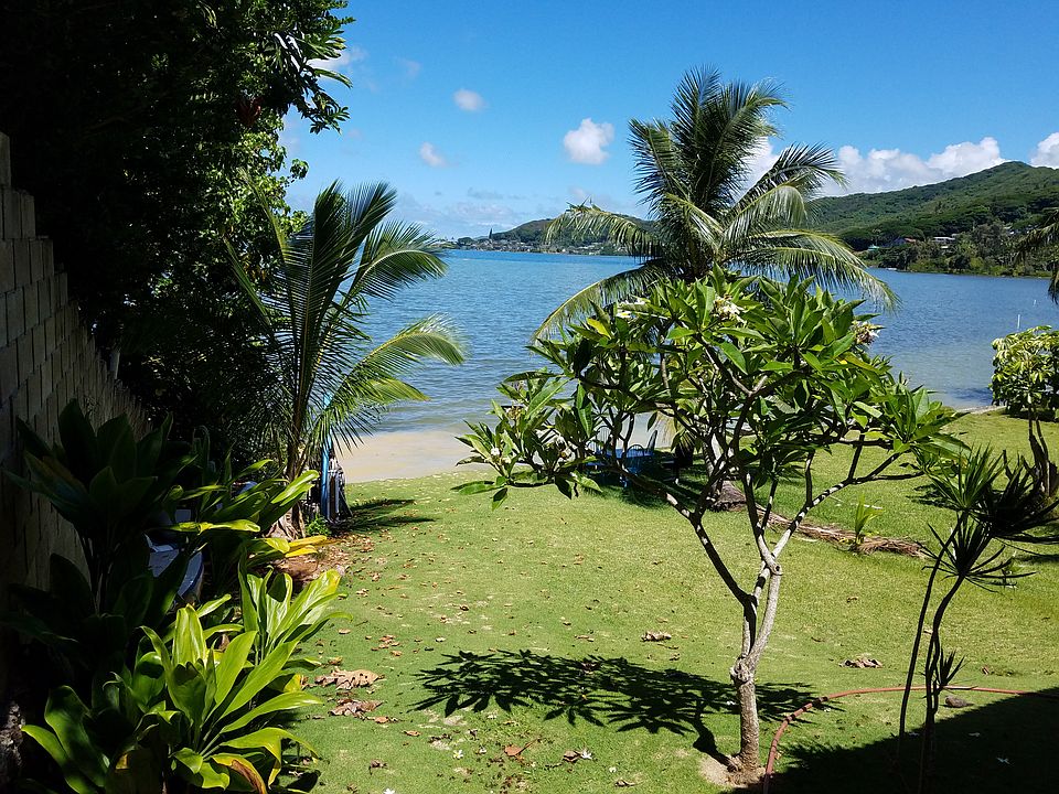 back yard