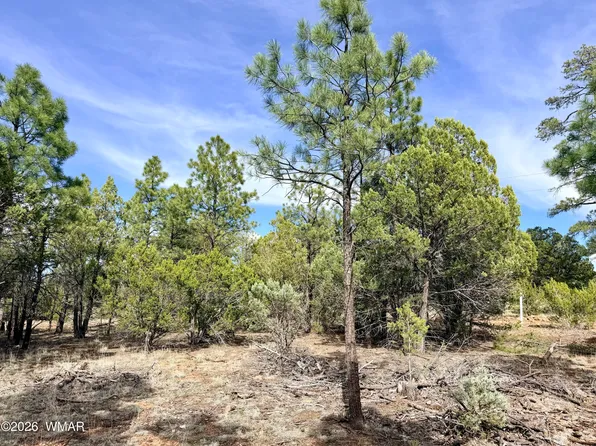 2588 Spoonbill Dr, Happy Jack, AZ 86024