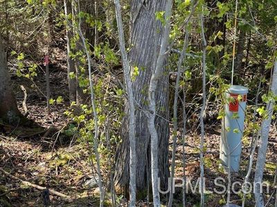 38 Harbor Coast Ln, Copper Harbor, MI, 49918