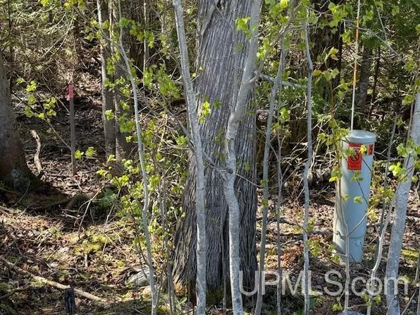 38 Harbor Coast Ln, Copper Harbor, MI 49918