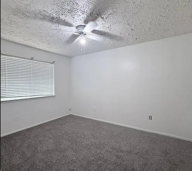 3610 Timber Rock Ct — Photo 11